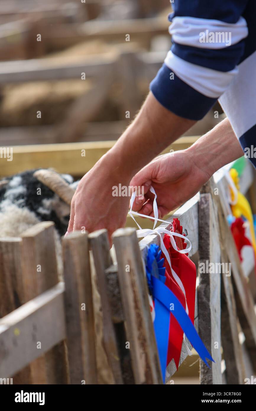 Masham Sheep Fair, Masham, North Yorkshire, England Stockfoto