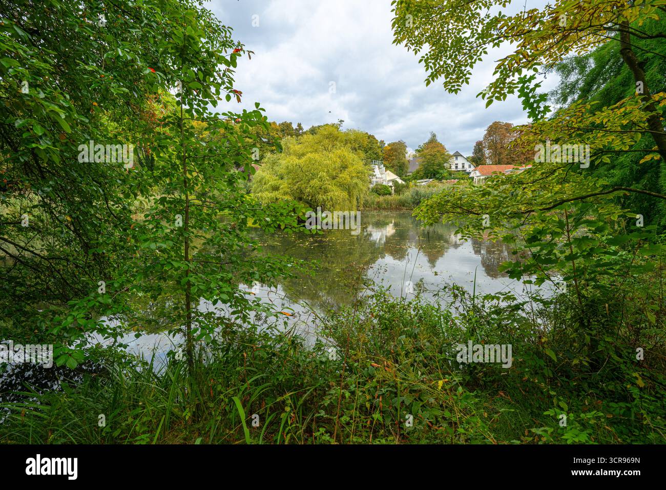 Der Botanische Garten im Schlosspark Münster-Westfalen. Deutschland, Nordrhein-Westfalen, Europa Stockfoto