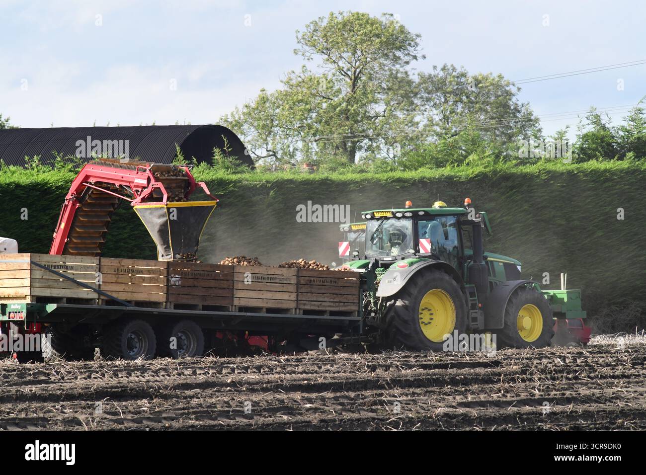 Kartoffelpflückmaschinen ernten Kartoffeln york yorkshire vereinigtes Königreich Stockfoto
