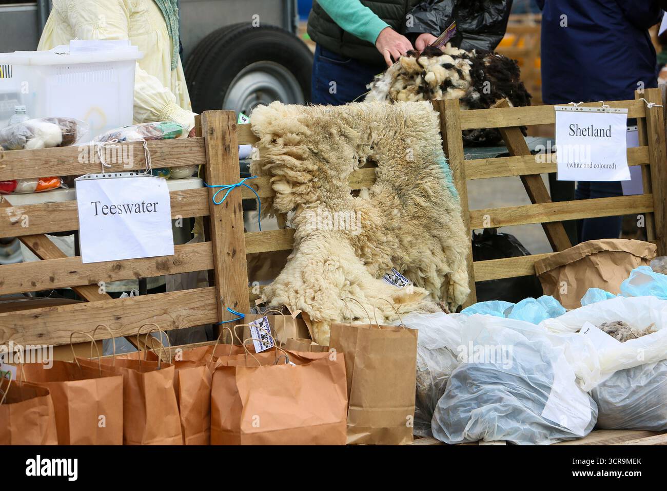 40. Masham Sheep Fair, North Yorkshire 2025 Stockfoto