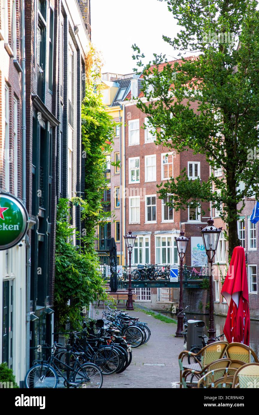 Amsterdam, Niederlande - 5. August 2025: Charmante Straße am Kanal in Amsterdam, gesäumt von Fahrrädern und Grün. Stockfoto