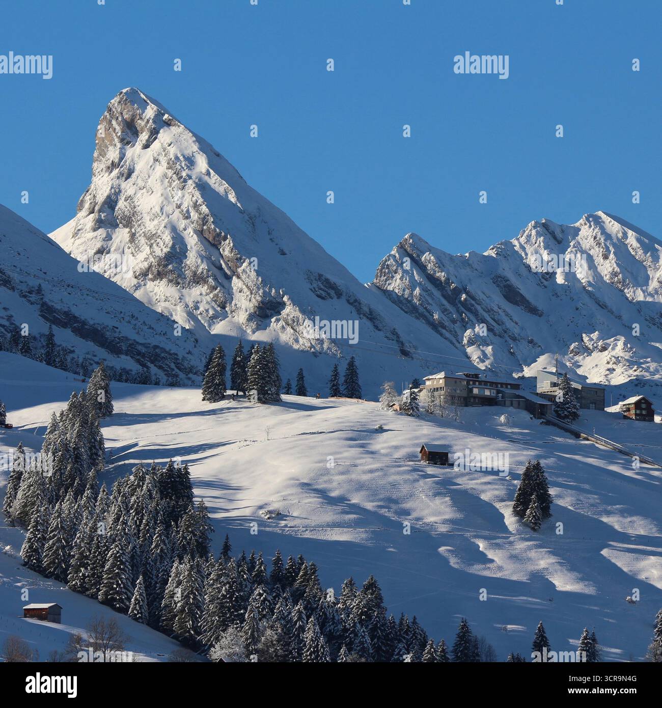 Der Gipfel der Churfirsten im Winter aus Wildhaus, Toggenburgtal, Schweiz. Stockfoto