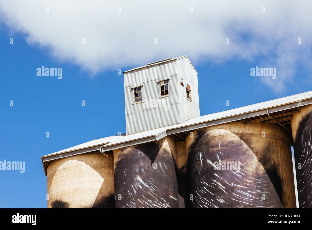 SHEEP HILLS, AUSTRALIEN - 27. SEPTEMBER 2025: GrainCorp Sheep Hills Silo Art Silo Art Wandgemälde auf dem Silo Art Trail an einem sonnigen Frühlingstag in der Wimmera Malle Stockfoto