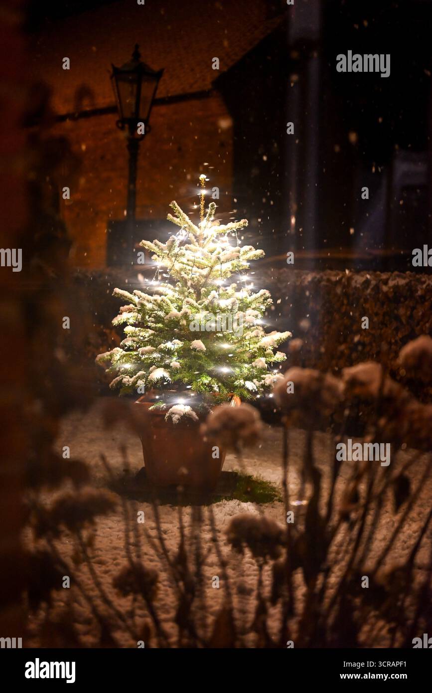 Beleuchteter Weihnachtsbaum im Freien in einem verschneiten Garten bei Nacht, dekoriert mit leuchtenden Lichtern und bedeckt mit frischem Schnee. Ein magischer und festlicher Winter Stockfoto