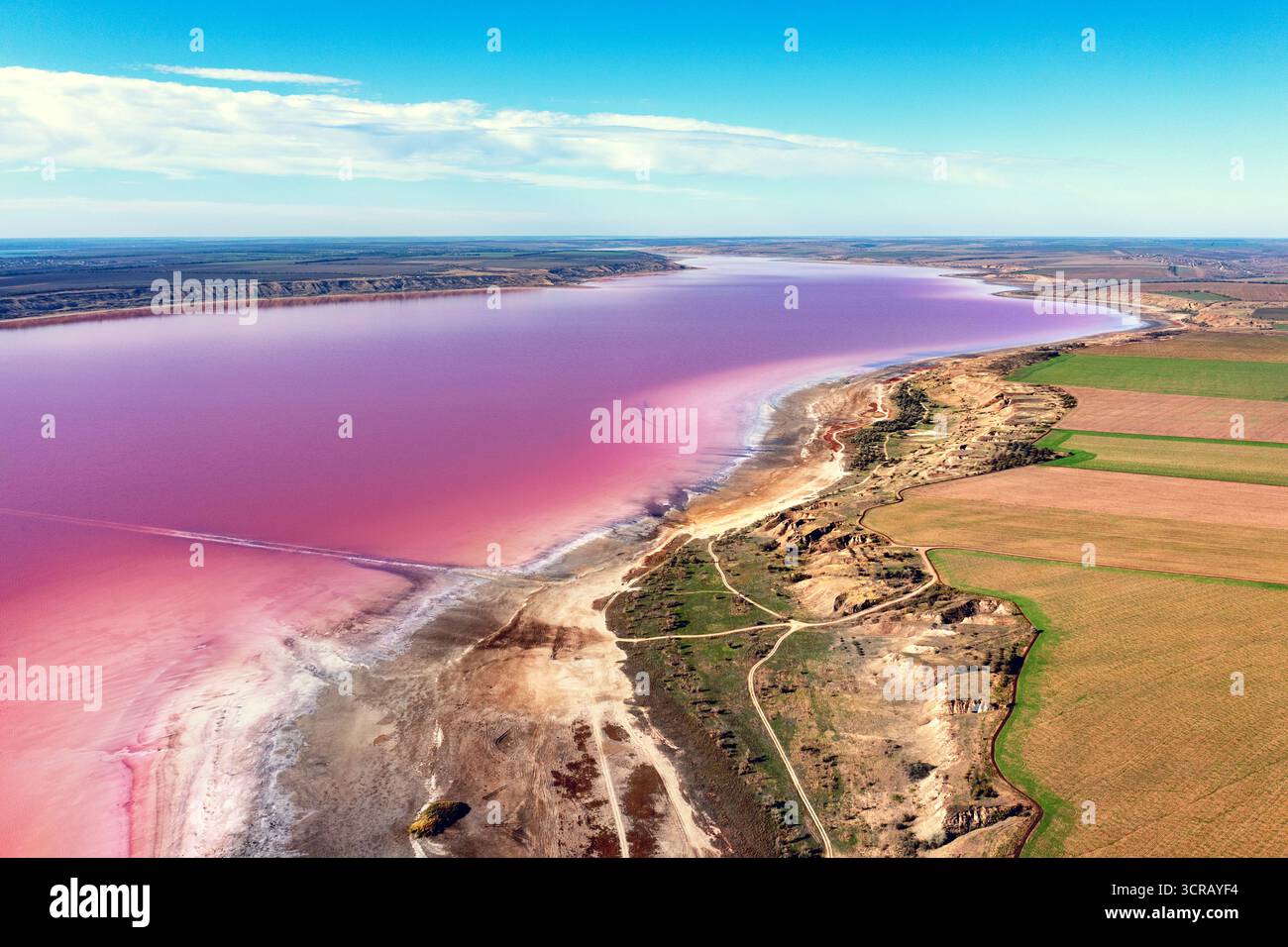 Panoramablick von oben auf den Pink Lake Kuyalnik, Region Odessa, Ukraine. Salzige Textur von Pink Lake. Wasser- und Naturhintergrund Stockfoto