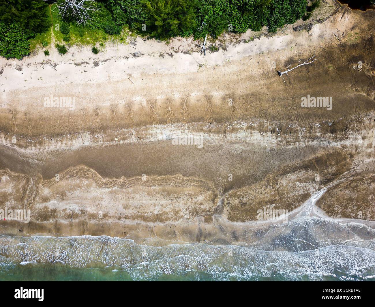 Blick von oben auf Gezeitenmuster und Wellen an einem Sandstrand neben einem Regenwald Stockfoto