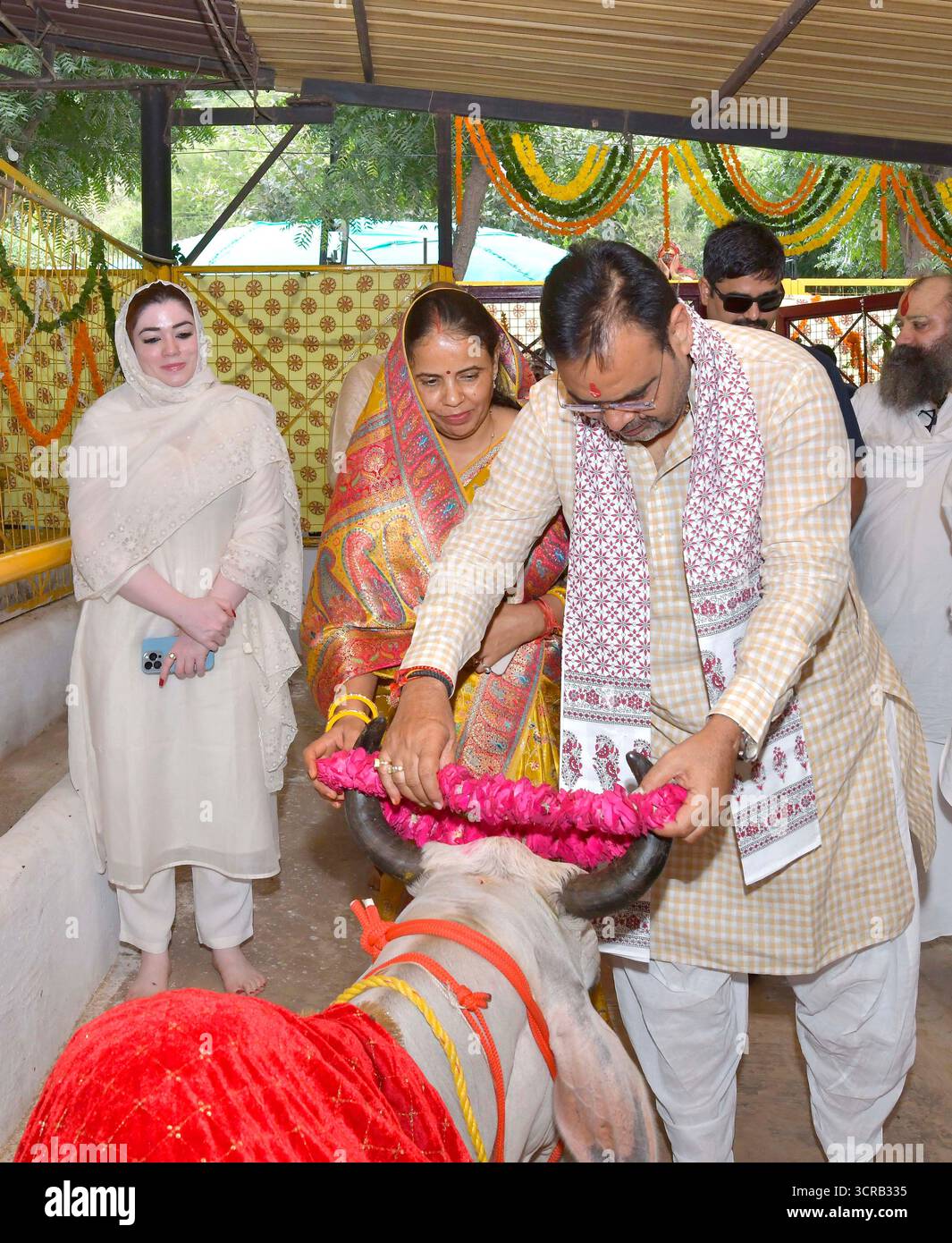 Deeg, Indien, 28. September 2025: Rajasthan-Chef-Minister Bhajanlal Sharma und seine Frau Geeta Sharma verehren eine Kuh und fütterten im Kuhstall Kamdhenu in Deeg. Quelle: Sumit Saraswat / Alamy Live News Stockfoto