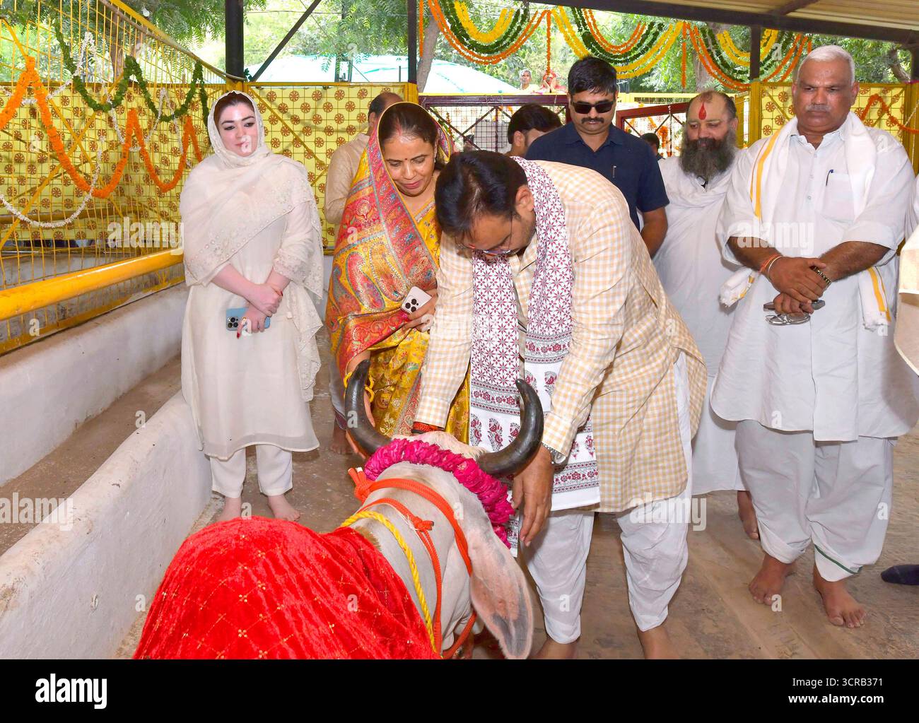 Deeg, Indien, 28. September 2025: Rajasthan-Chef-Minister Bhajanlal Sharma und seine Frau Geeta Sharma verehren eine Kuh und fütterten im Kuhstall Kamdhenu in Deeg. Quelle: Sumit Saraswat / Alamy Live News Stockfoto