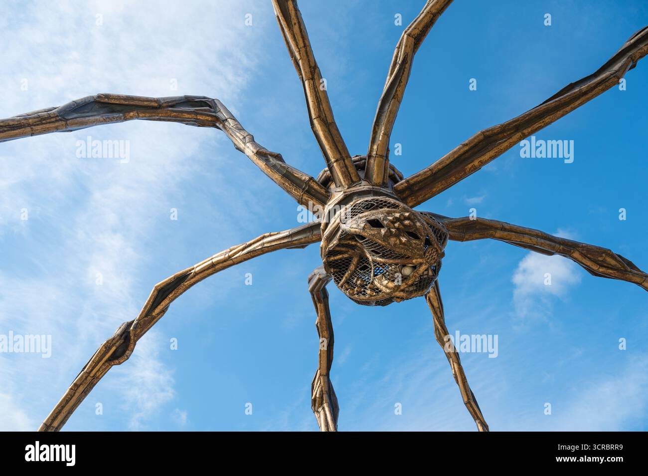 Bilbao, Spanien - 18. Juli 2025: Low Angle View and Detail of Maman Spider Sculpture with Marble Eies von der Künstlerin Louise Bourgeois gegen Blue Sky in Bil Stockfoto