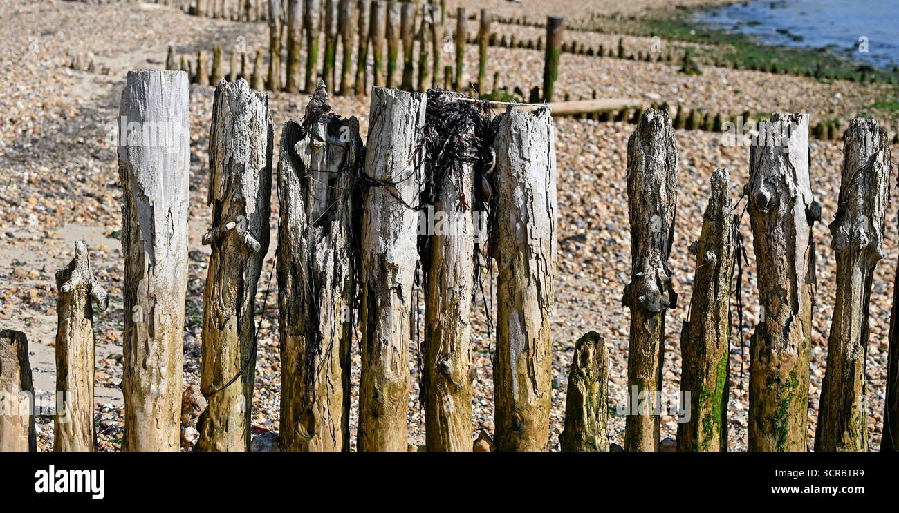 Lepe Beach, ein Sandstrand, der Teil des Lepe Country Park ist, liegt im New Forest mit Blick auf die Isle of Wight. Stockfoto
