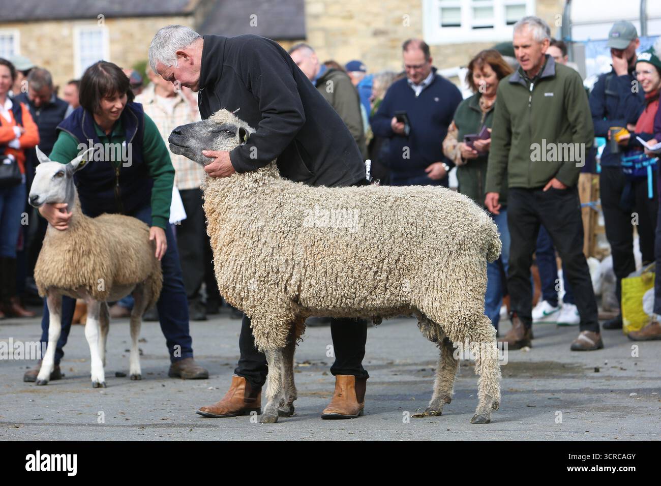 40. Masham Sheep Fair, Masham, North Yorkshire, England Stockfoto