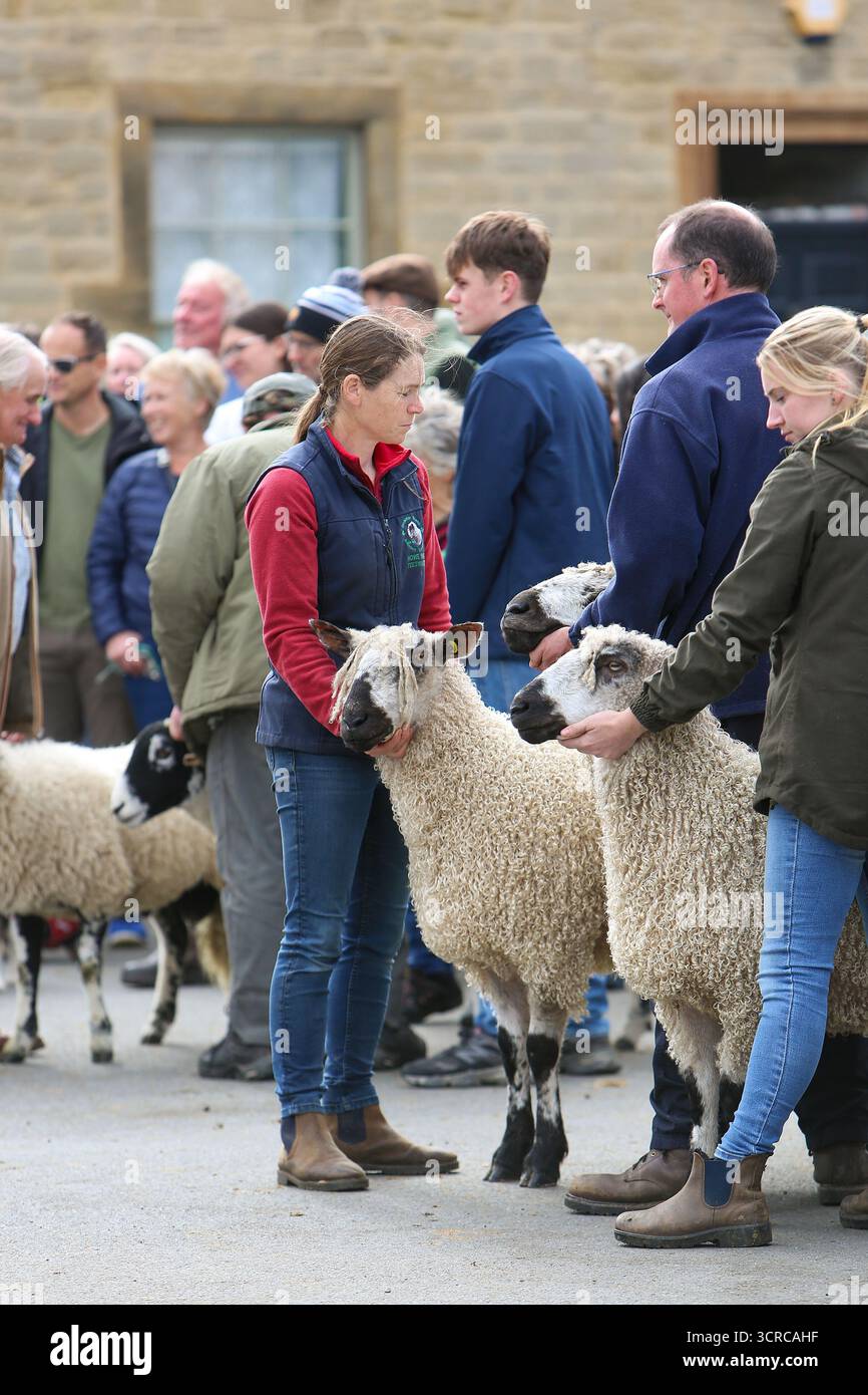 40. Masham Sheep Fair, Masham, North Yorkshire, England Stockfoto
