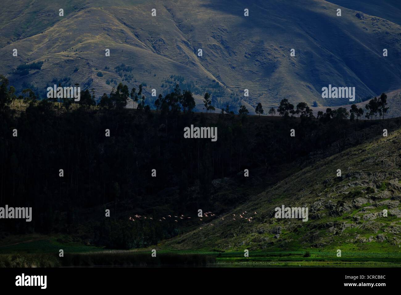 Wunderschöne Szene der Berge rund um den Pacasee, mit atemberaubender Landschaft und einem empfindlichen Ökosystem. Stockfoto