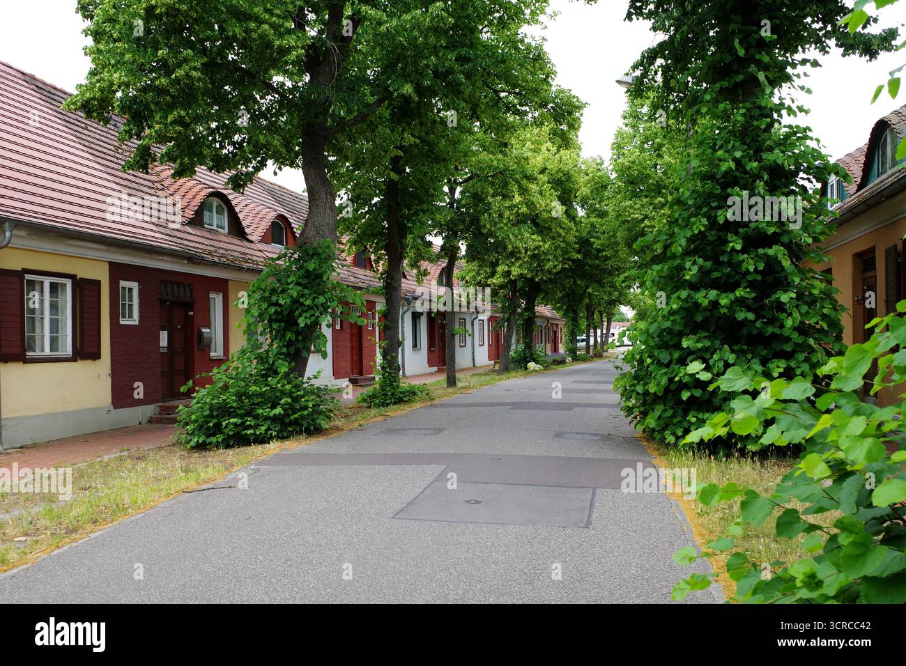 Von Bäumen gesäumte Straße in der Gartenstadt Plaue, Deutschland, mit charmanten Reihenhäusern mit Schrägdächern und Bogenbalken aus dem Jahr 1916. Die Häuser zeigen eine m Stockfoto