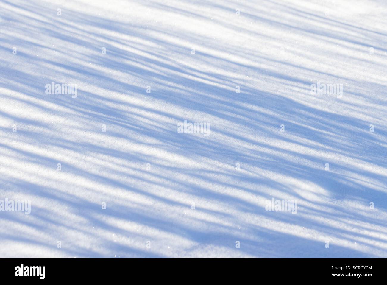Ein friedliches Winterfoto mit einem Schneefeld mit diagonalen Schatten, das kühle Blautöne und eine ruhige, unberührte Atmosphäre erzeugt Stockfoto