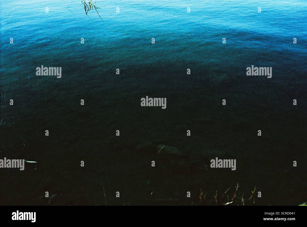 Analoge Archivfotografie Grain zeitlos 35 mm Stockfoto