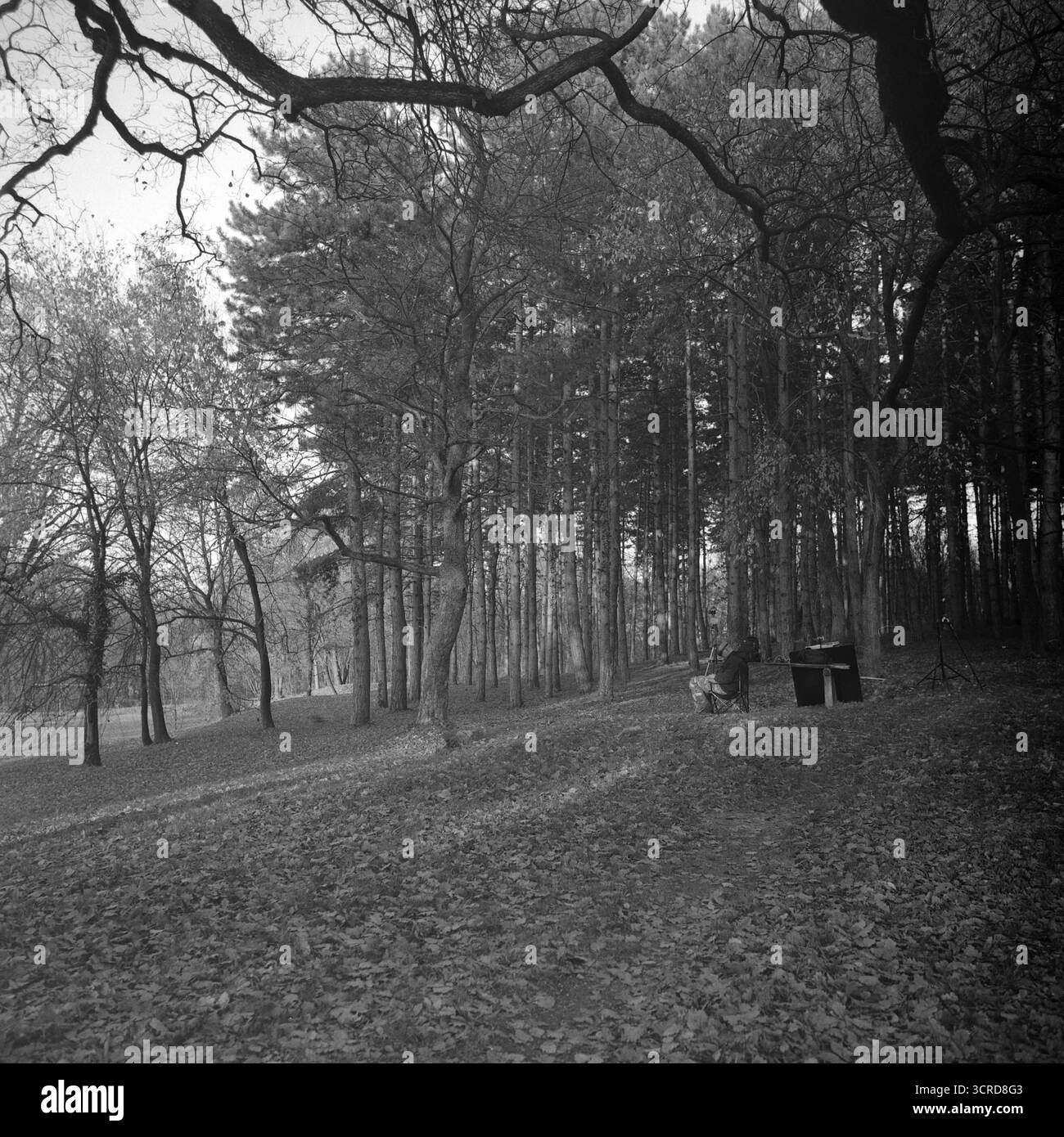 Schwarzweiß-Foto eines Mannes, der im Kamenički Park sitzt und mit einer Drohne fliegt und Natur mit moderner Technologie in einer ruhigen Umgebung verbindet. Stockfoto