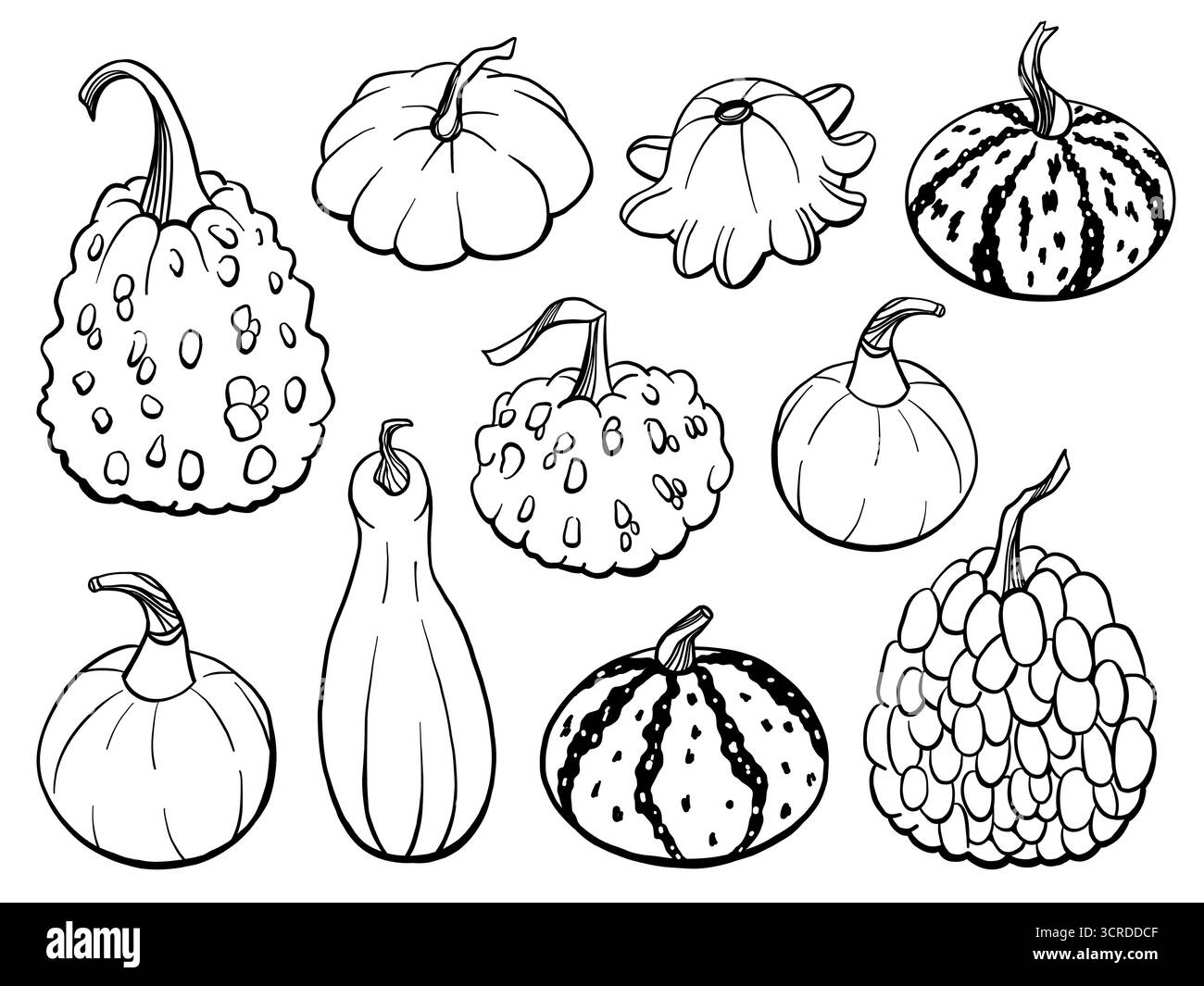 Herbstkürbis und Kürbis in Doodle, handgezeichnete Vektorlinie Illustration für Thanksgiving-Karten, Herbstmuster und saisonale festliche Designs Stock Vektor