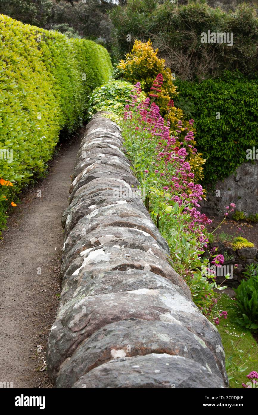Inverewe Gardens, Ewe, Loch Ewe Schottland, Vereinigtes Königreich. Ein weitläufiger, öffentlich zugänglicher Garten am Ufer des Loch Ewe im Nordwesten Schottlands. Stockfoto