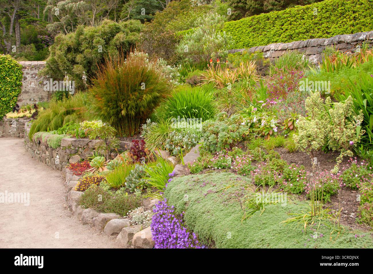 Inverewe Gardens, Ewe, Loch Ewe Schottland, Vereinigtes Königreich. Ein weitläufiger, öffentlich zugänglicher Garten am Ufer des Loch Ewe im Nordwesten Schottlands. Stockfoto