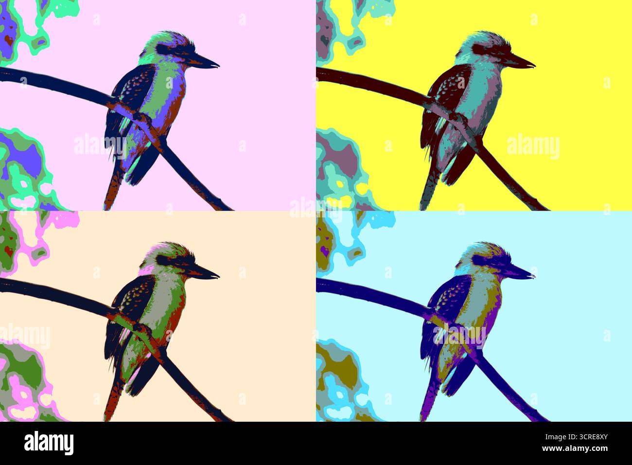 Barsch Und Pop Stockfoto