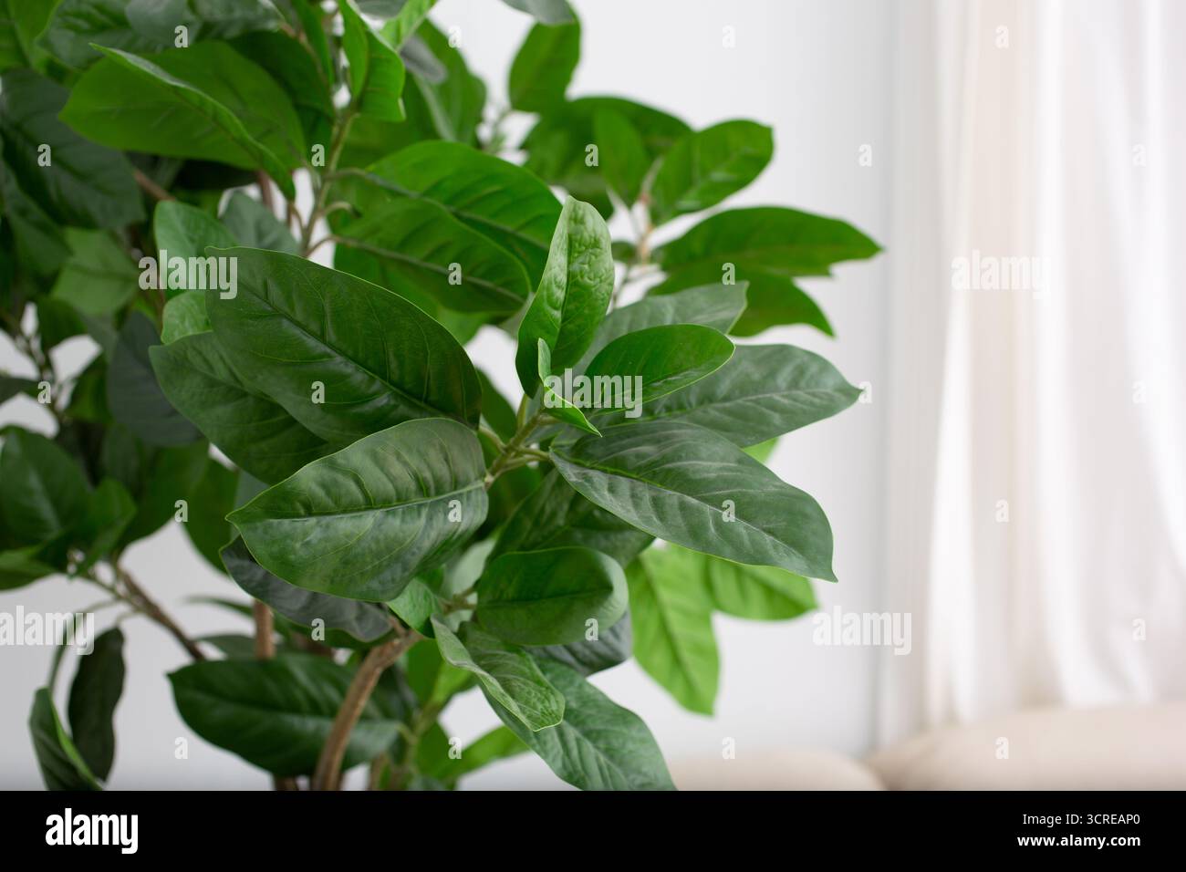 Blick auf einen dekorativen Innenbaum aus Kunststoff. Stockfoto