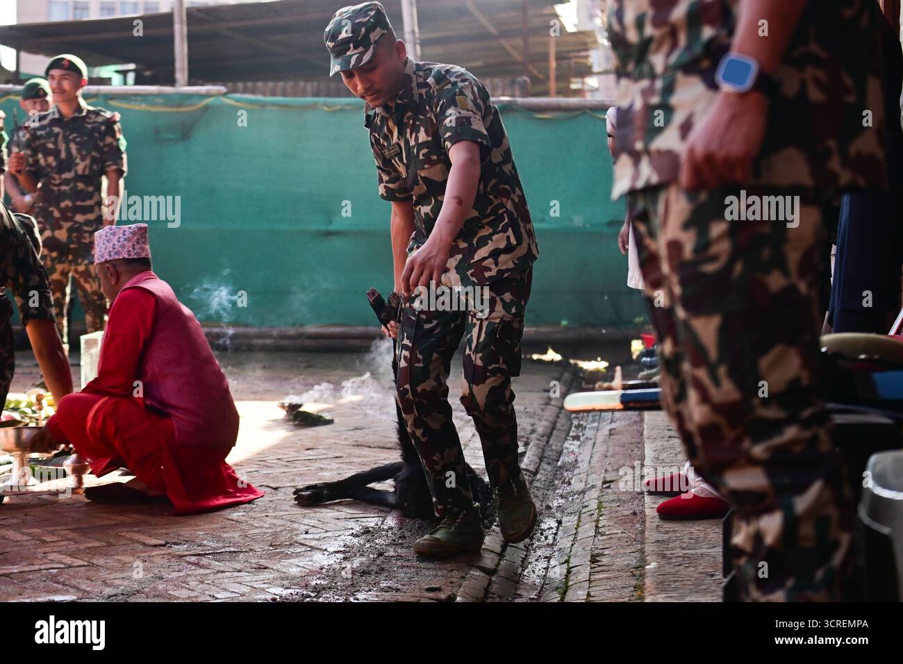 Kathmandu, Nepal. 1. Oktober 2025. Grafikinhalt: Während Maha Nawami, dem neunten Tag von Dashain, zieht ein neunter Angehöriger der neunten neunten neunten Armee eine geopferte Ziege über den Kathmandu Durbar Platz. Der Umgang mit geopferten Tieren folgt jahrhundertealten hinduistischen Ritualen, die von Priestern und Armeepersonal durchgeführt wurden. Quelle: Safal Prakash Shrestha/Alamy Live News Stockfoto