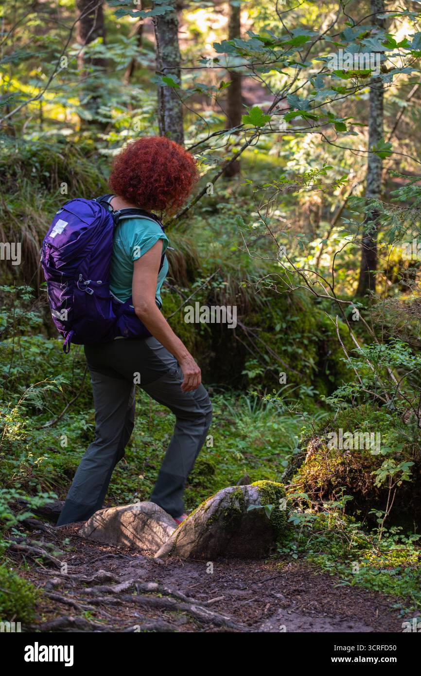 Wanderer mit lockigen roten Haaren und Rucksack, die auf einem Waldweg im Apuseni-Gebirge, Rumänien, von Grün und Baumwurzeln umgeben, spazieren Stockfoto