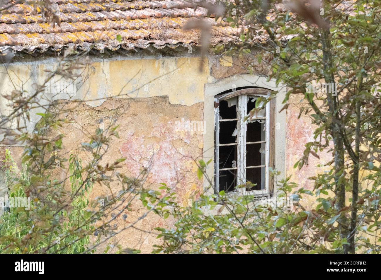Ein kaputtes Fenster eines verlassenen Hauses mit bewachsener Vegetation, das Verfall und Vernachlässigung zeigt Stockfoto