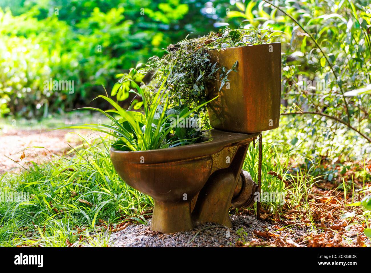 Diese alte Toilette ist ein faszinierendes Beispiel für Upcycling und wurde in einen Topf verwandelt, gefüllt mit verschiedenen Pflanzen, und liegt inmitten des Grüns eines C Stockfoto