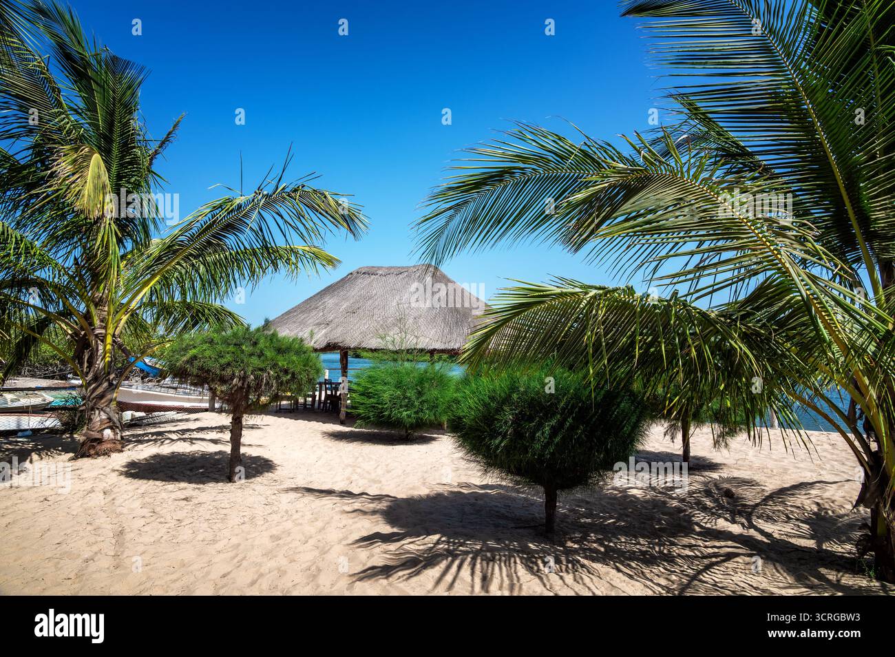 Strand, Palmen und eine kleine Hütte am Casamance River in Ehidj, Senegal Stockfoto
