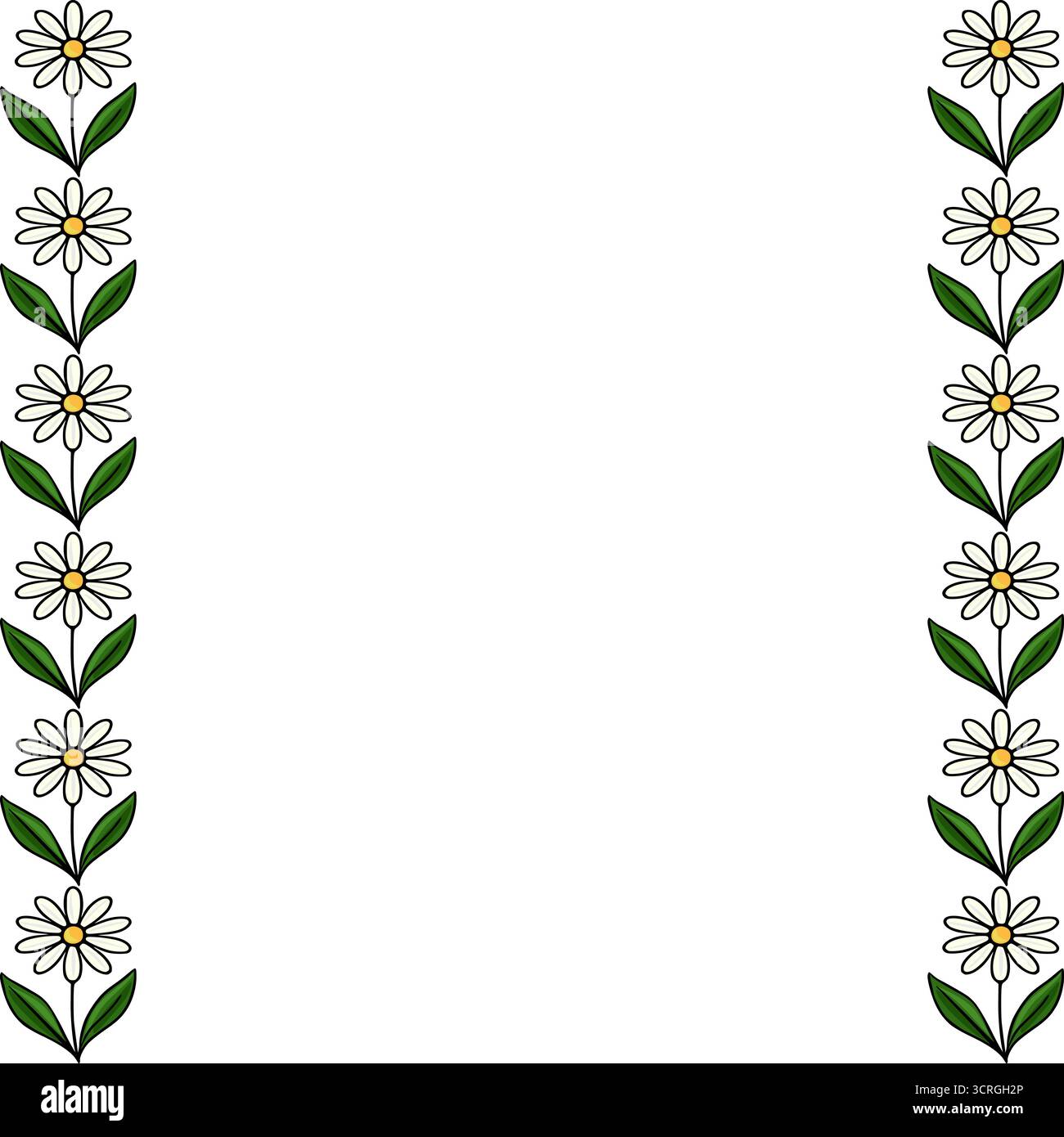 Dekorativer Vektorrand von sich wiederholenden weißen Gänseblümchen mit grünen Blättern auf einem sauberen weißen Hintergrund. Stock Vektor