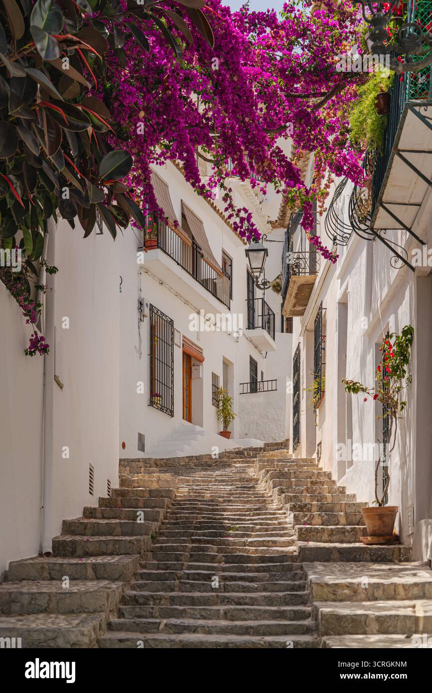 Blick auf die typischen weißen Häuser in einer engen Gasse mit blühenden Bougainvillea in der gepflegten Altstadt des spanischen Dorfes altea Stockfoto