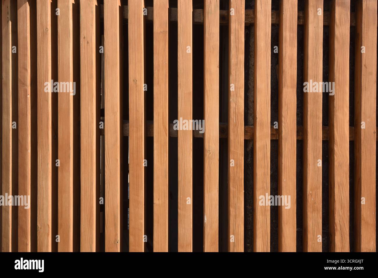 Wand aus sonnendurchfluteten Holzlatten Stockfoto