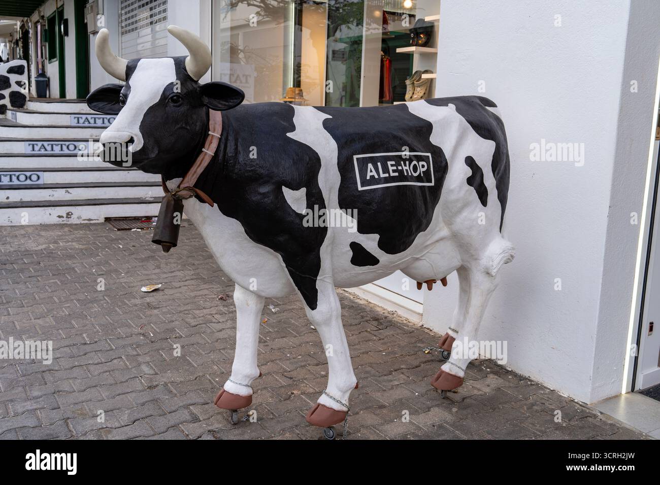 Eine auffällige Kuhstatue mit „Ale-Hop“-Logo steht stolz auf einer kopfsteingepflasterten Straße in Lanzarote, Spanien, in der Nähe von Geschäften. Lanzarote, Spanien, 20. 07. 2025 Stockfoto