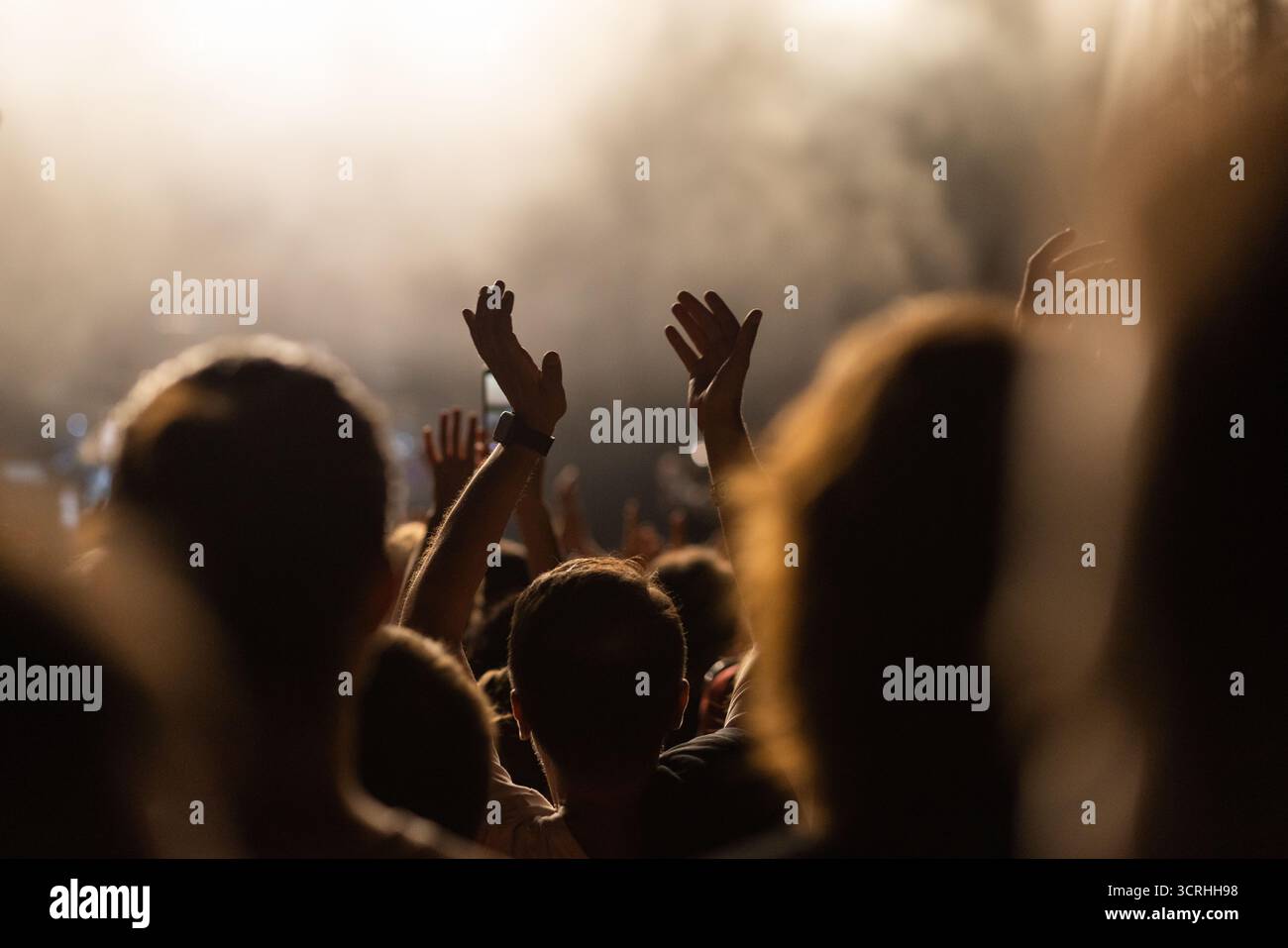 Die Menge hat Spaß beim Konzert-Sommermusikfestival Stockfoto