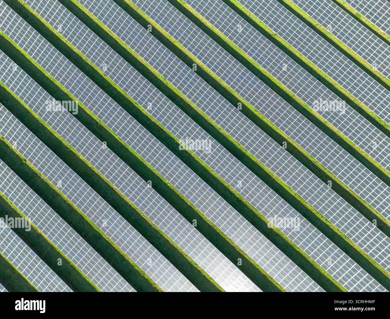 Luftaufnahme eines Solarparks in Hampshire, Großbritannien Stockfoto