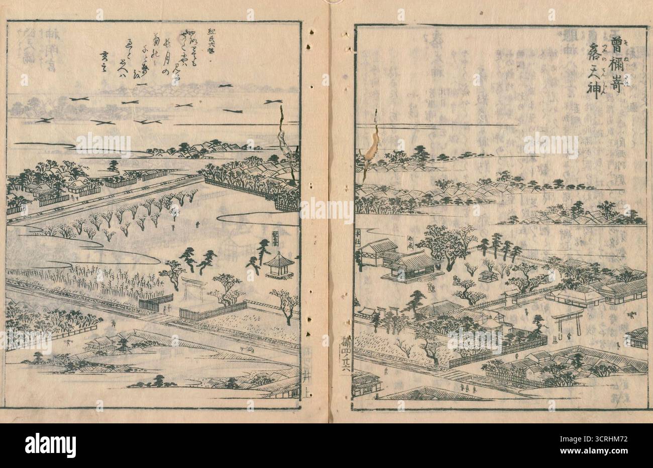 Sonezaki tsuyu tenjin aus Settsu meisho zue (illustrierter Reiseführer zu berühmten Orten in der Provinz Settsu) Band 4, 1798 Stockfoto