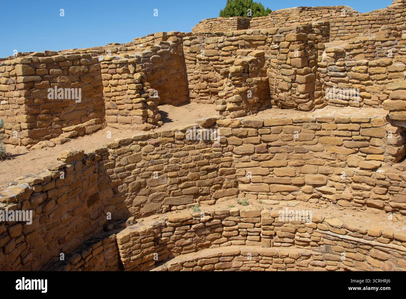 Ruinen im Mesa Verde National Park, Colorado Stockfoto