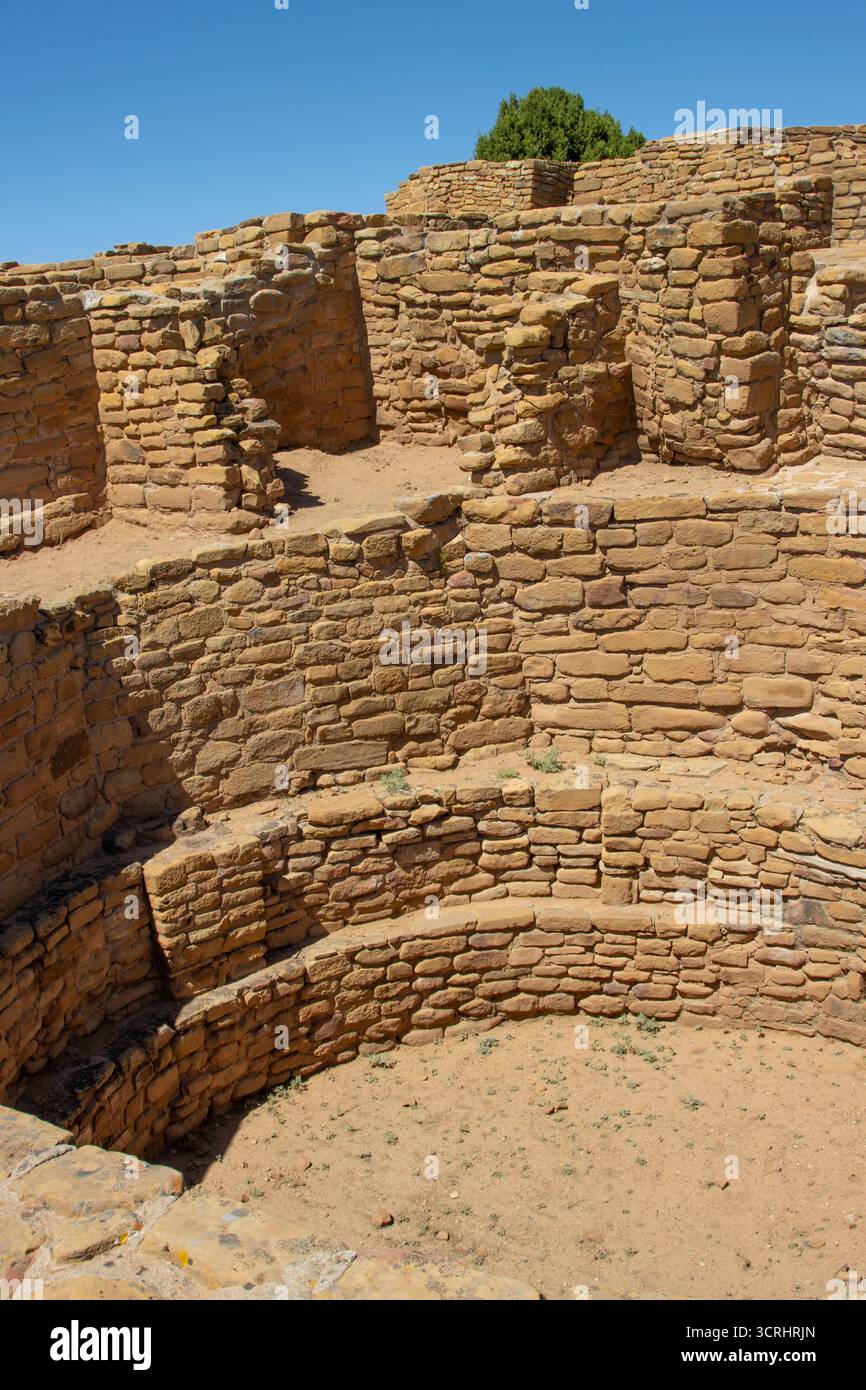 Ruinen im Mesa Verde National Park, Colorado Stockfoto