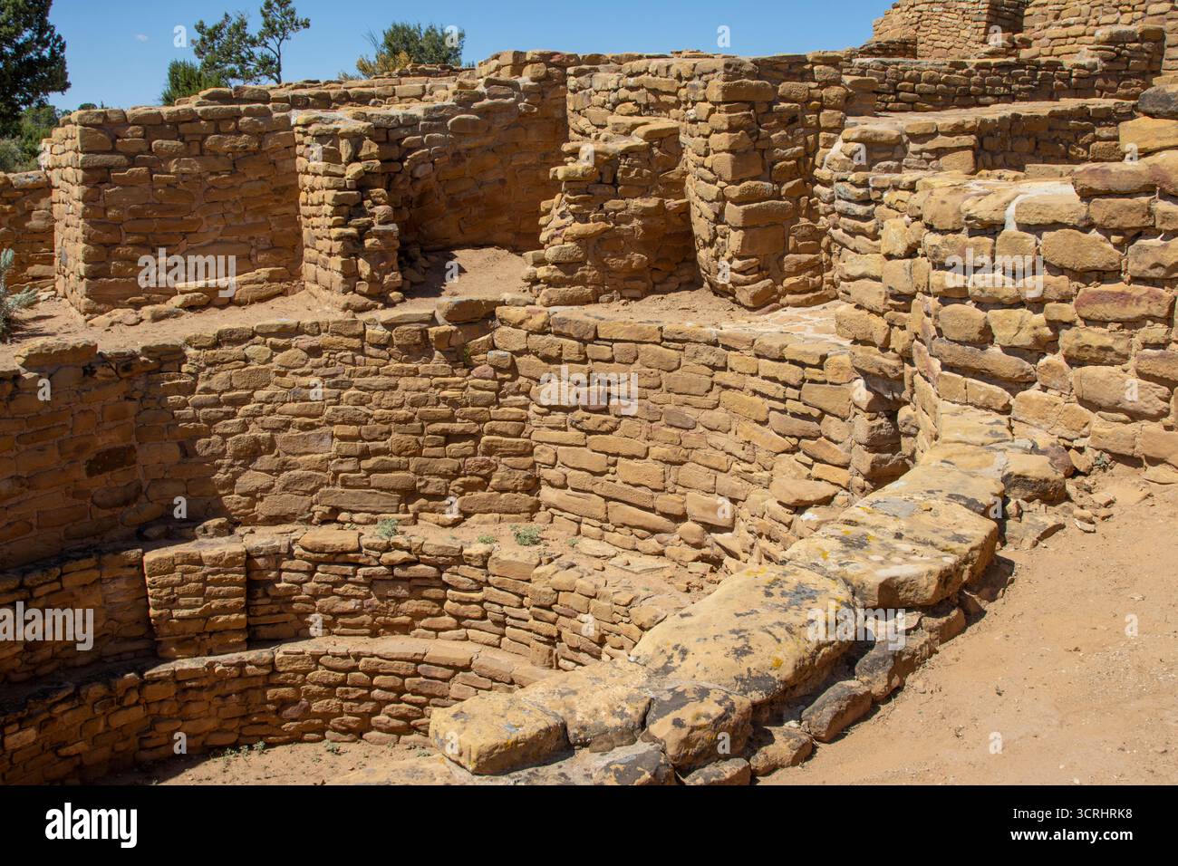 Ruinen im Mesa Verde National Park, Colorado Stockfoto