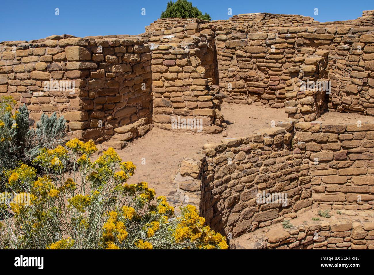Ruinen im Mesa Verde National Park, Colorado Stockfoto