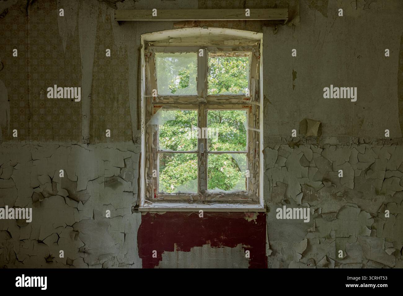 Altes Fenster im verlassenen Haus mit abblätternder Farbe und Blick auf grüne Bäume – Urban Decay meets Nature Fine Art Photography Stockfoto