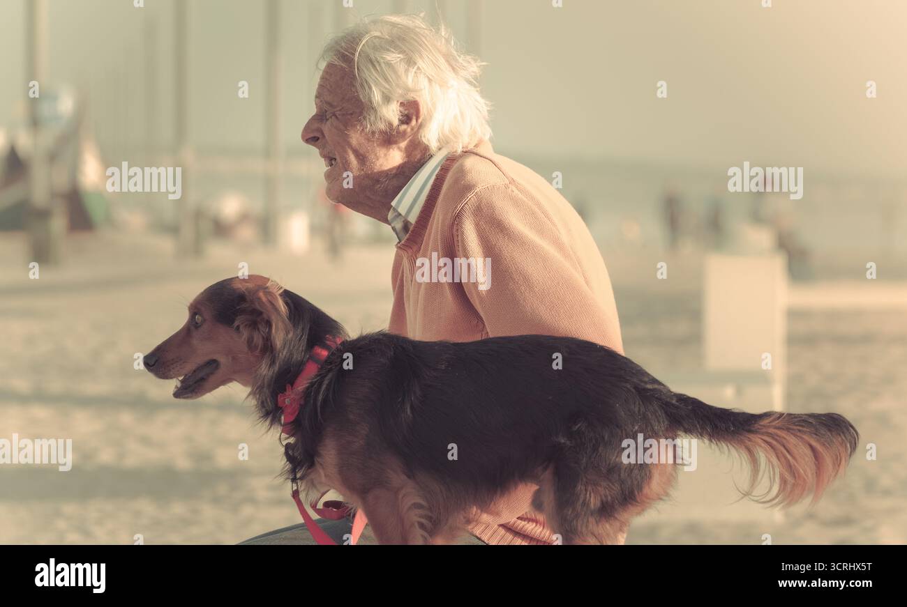 Senior Mann sitzt mit Hund am Strand während Sonnenuntergang, warmes Vintage-Licht und emotionale Verbindung in friedlichem Moment Stockfoto
