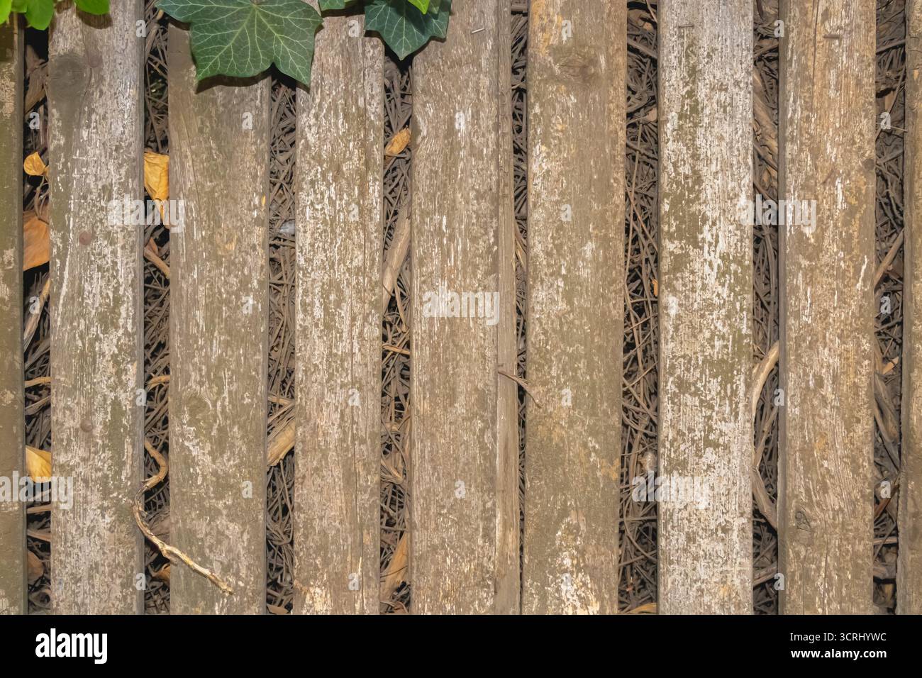 Nahaufnahme von rustikalen Holzlatten, die als Gartenweg genutzt werden, mit sichtbarer verwitterter Textur und trockenem Laub dazwischen, die natürliche Landschaftsgestaltung zeigen Stockfoto