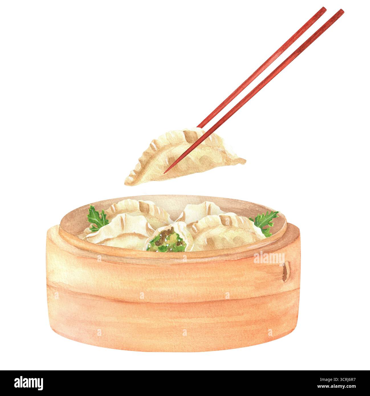 Bambus-Dampfkorb mit Knödeln, Petersilienblättern, Essstäbchen essen. Aquarell Chinesisches Essen Clipart. Handgezeichnete Illustrationen zum Thema CH Stockfoto