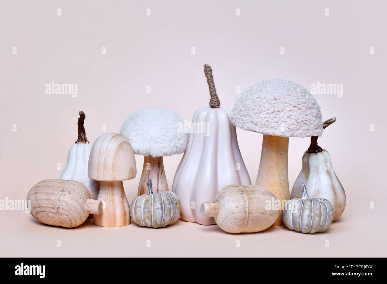 Dekorative Kürbis-, Pilz- und Eichelornamente auf beigefarbenem Hintergrund. Boho-Herbstkomposition Stockfoto