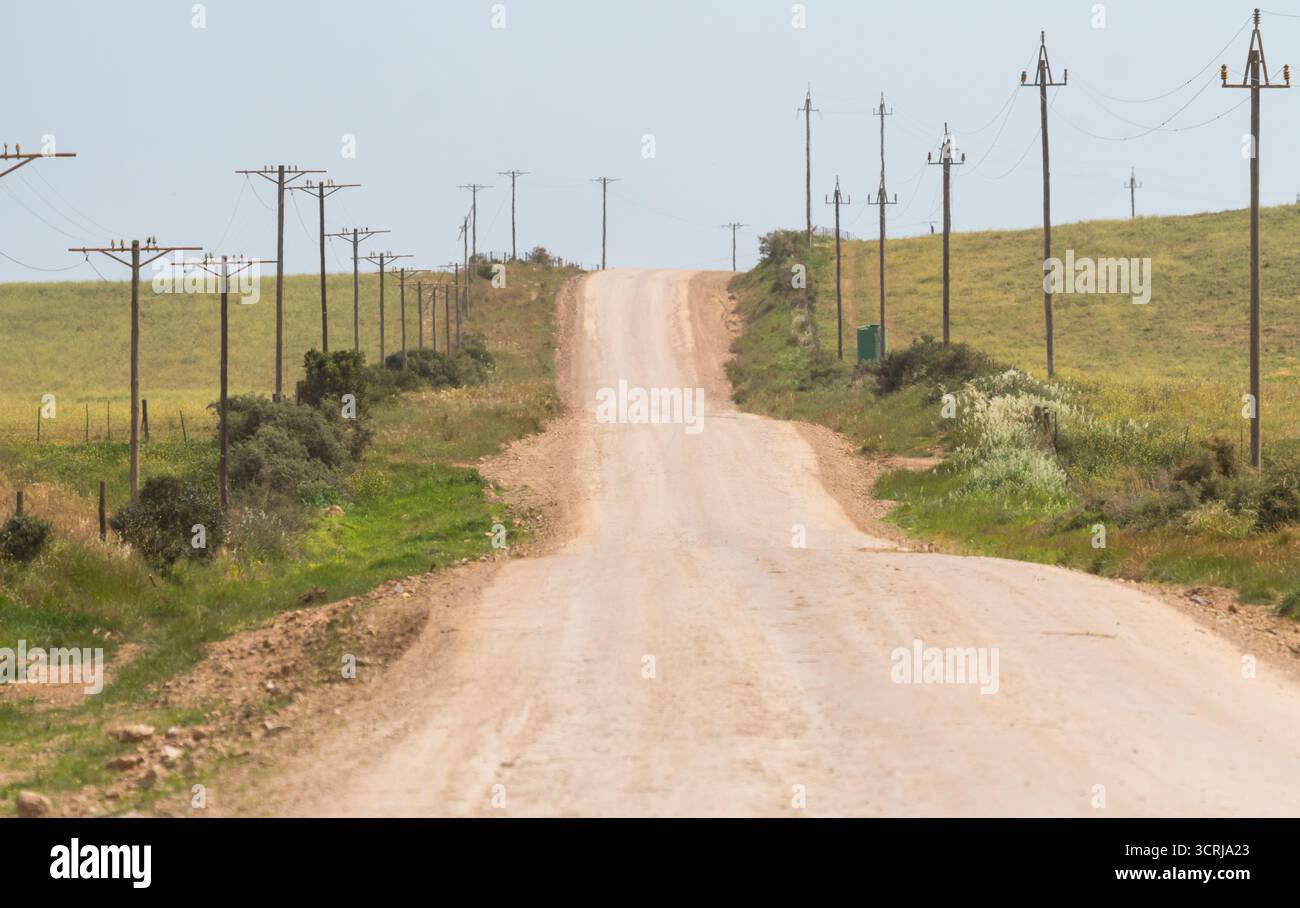Hügelige, unbefestigte Straße in Westkap, Südafrika, die Strom- oder Telefonmasten auf beiden Seiten und eine endlose lange Straße zeigt Stockfoto