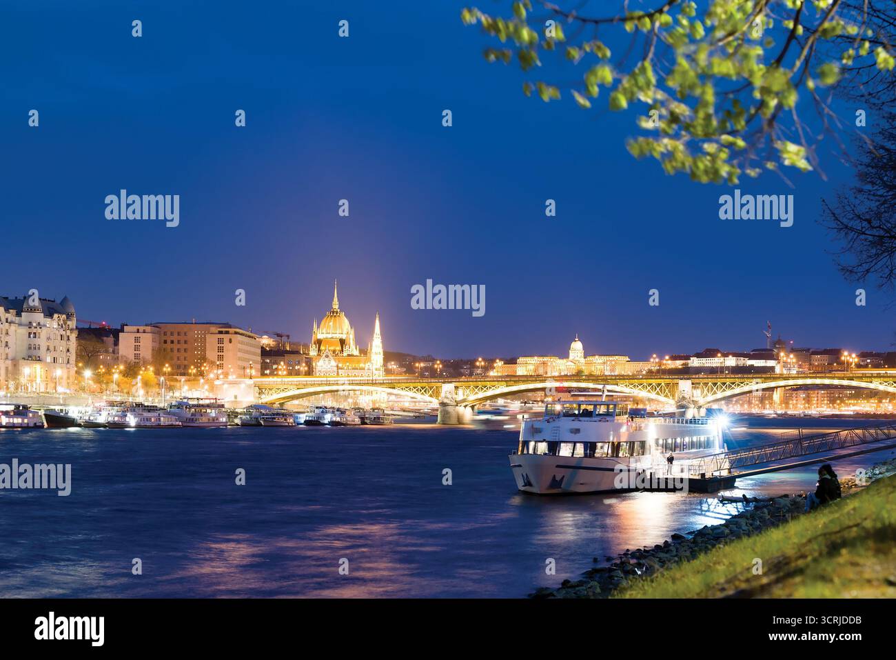 Blick auf Budapest bei Nacht von der Margareteninsel Stockfoto