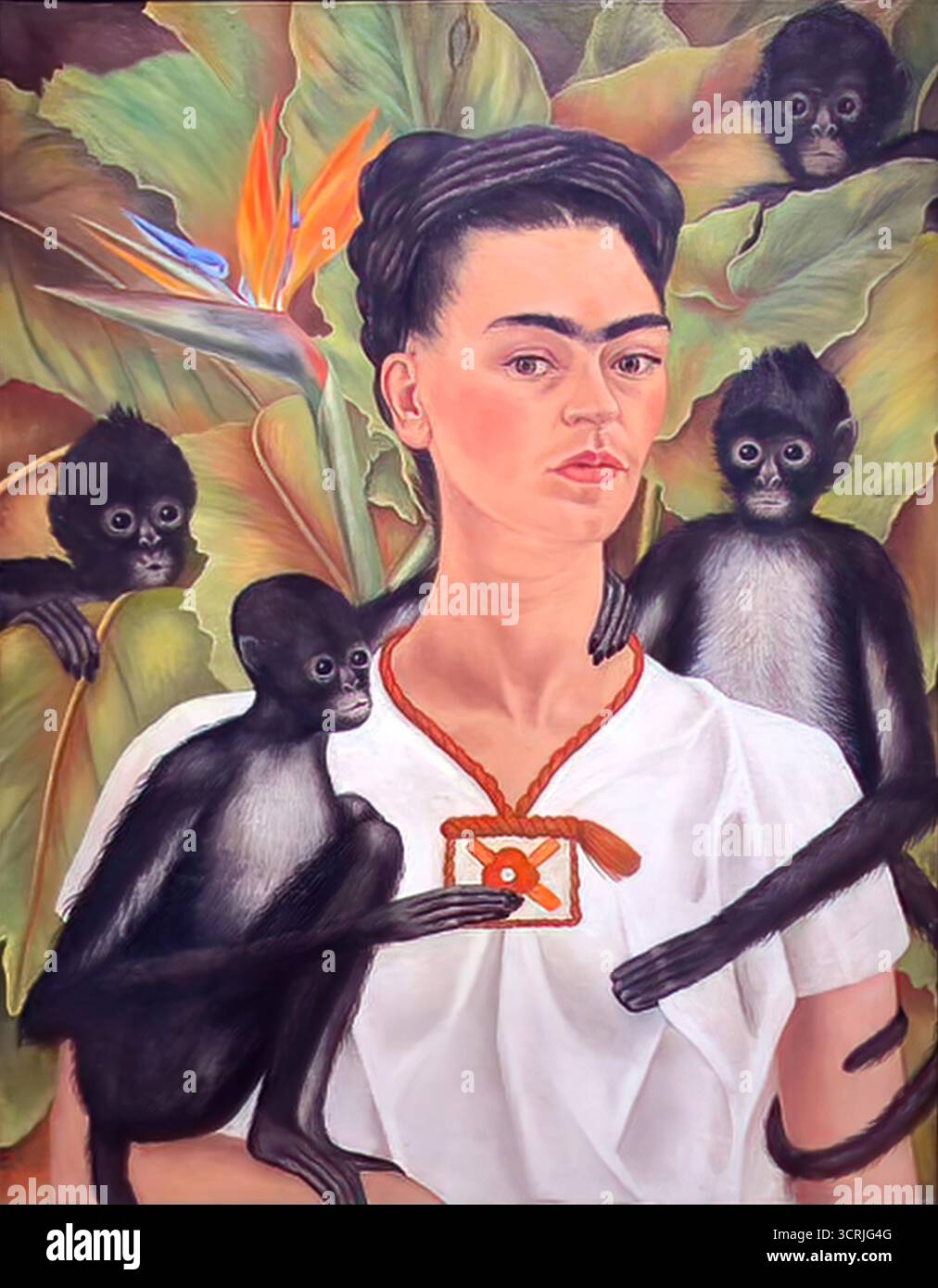 Frida Kahlo, Selbstporträt mit Affen, 1943. Stock Vektor